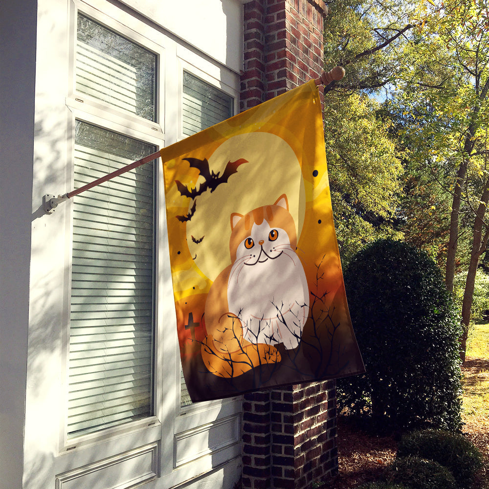 Halloween Exotic Shorthair Cat House Flag 28x40 Porch Sleeve Pole Decorative Outside Yard Banner Artwork Wall Hanging, Polyester