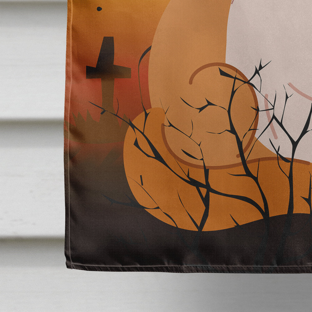 Halloween Exotic Shorthair Cat House Flag 28x40 Porch Sleeve Pole Decorative Outside Yard Banner Artwork Wall Hanging, Polyester