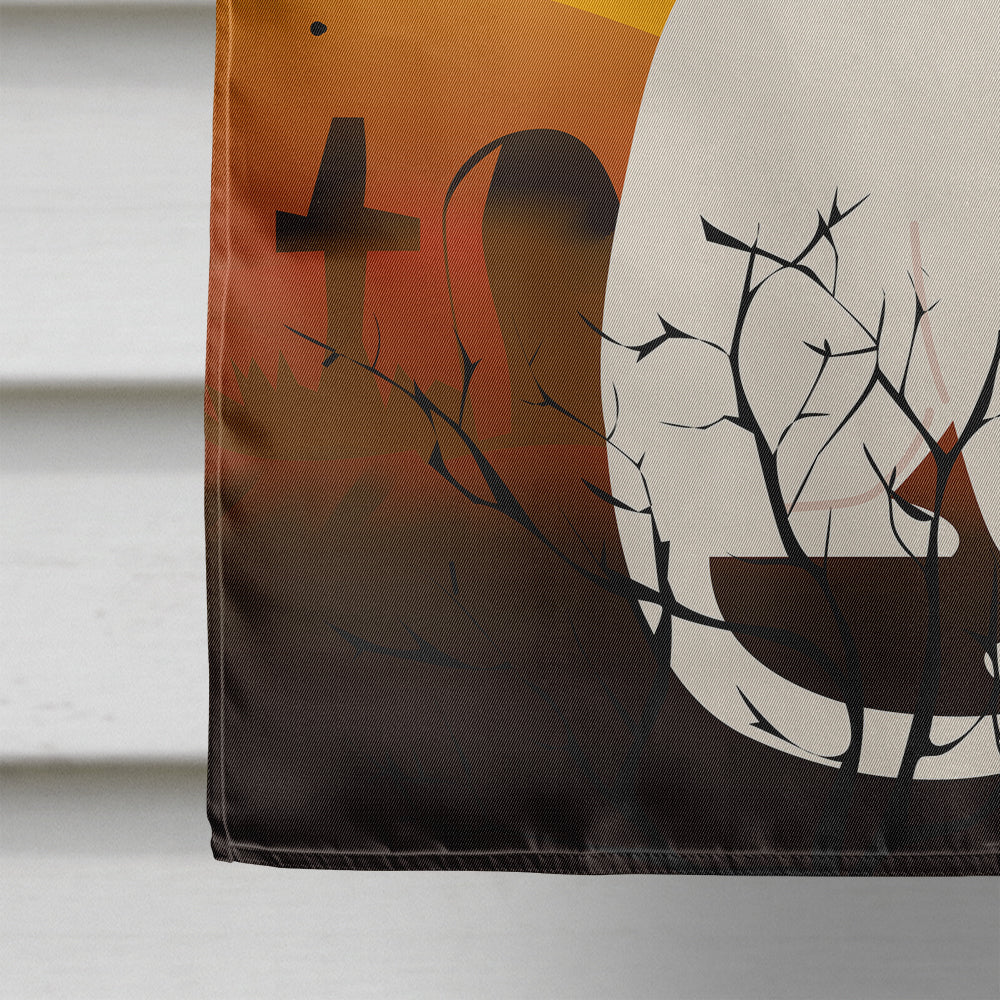 Halloween Foreign White Cat House Flag 28x40 Porch Sleeve Pole Decorative Outside Yard Banner Artwork Wall Hanging, Polyester