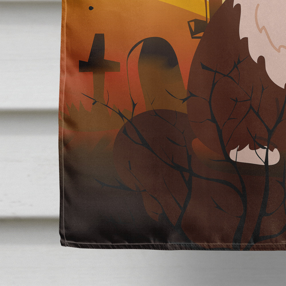Halloween Himalayan Cat House Flag 28x40 Porch Sleeve Pole Decorative Outside Yard Banner Artwork Wall Hanging, Polyester
