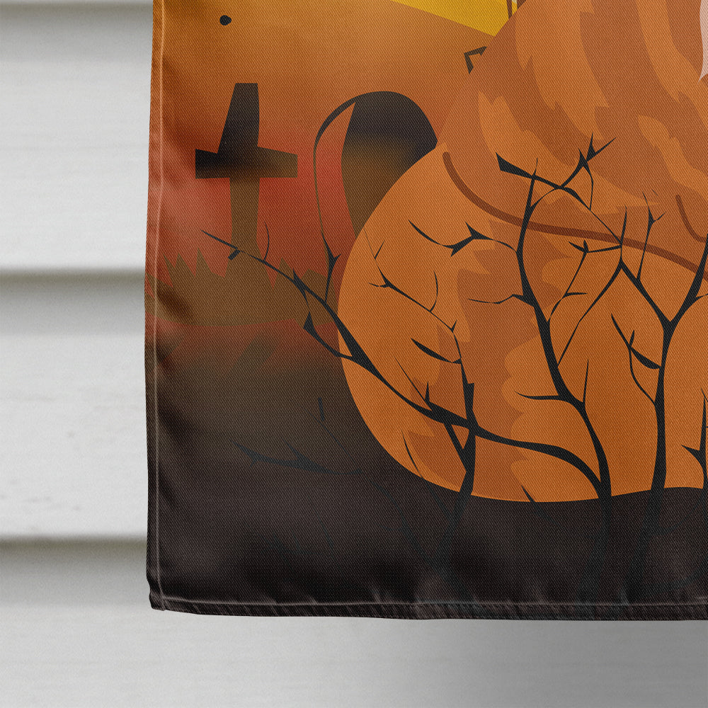 Halloween Maine Coon Cat House Flag 28x40 Porch Sleeve Pole Decorative Outside Yard Banner Artwork Wall Hanging, Polyester