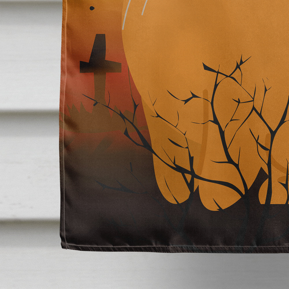Halloween Scottish Fold Cat House Flag 28x40 Porch Sleeve Pole Decorative Outside Yard Banner Artwork Wall Hanging, Polyester