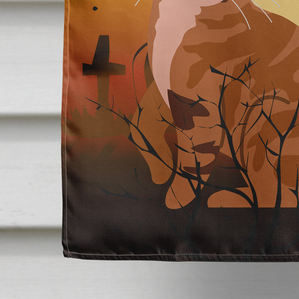 Halloween Sokoke Cat House Flag 28x40 Porch Sleeve Pole Decorative Outside Yard Banner Artwork Wall Hanging, Polyester