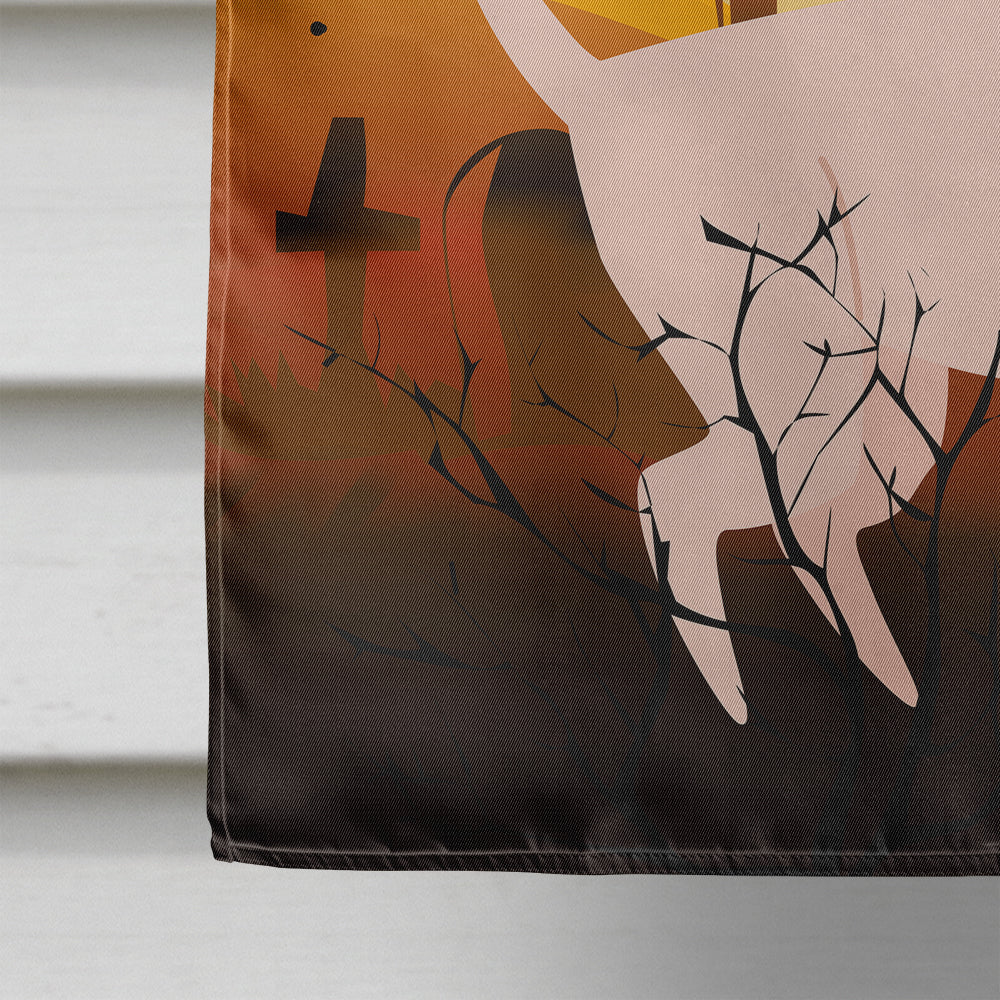 Halloween Sphynx Cat House Flag 28x40 Porch Sleeve Pole Decorative Outside Yard Banner Artwork Wall Hanging, Polyester