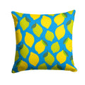 Lemons and Limes Decorative Throw Pillow 14x14 Indoor Outdoor Accent Cushion, Fabric Cover with Insert for Sofa, Bed, Porch & Living Room
