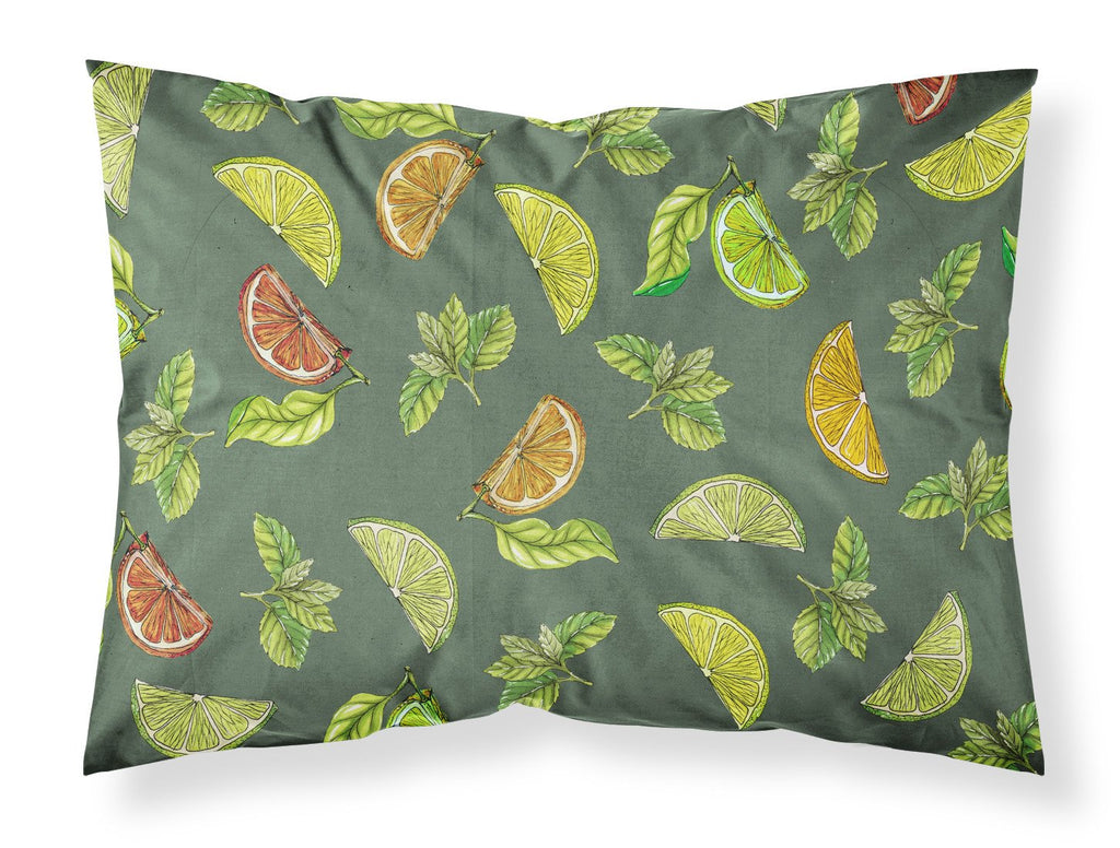 Lemons, Limes and Oranges Standard Pillowcase Lightweight Super Soft Easy Care Decorative Artwork Pillowcase, Standard