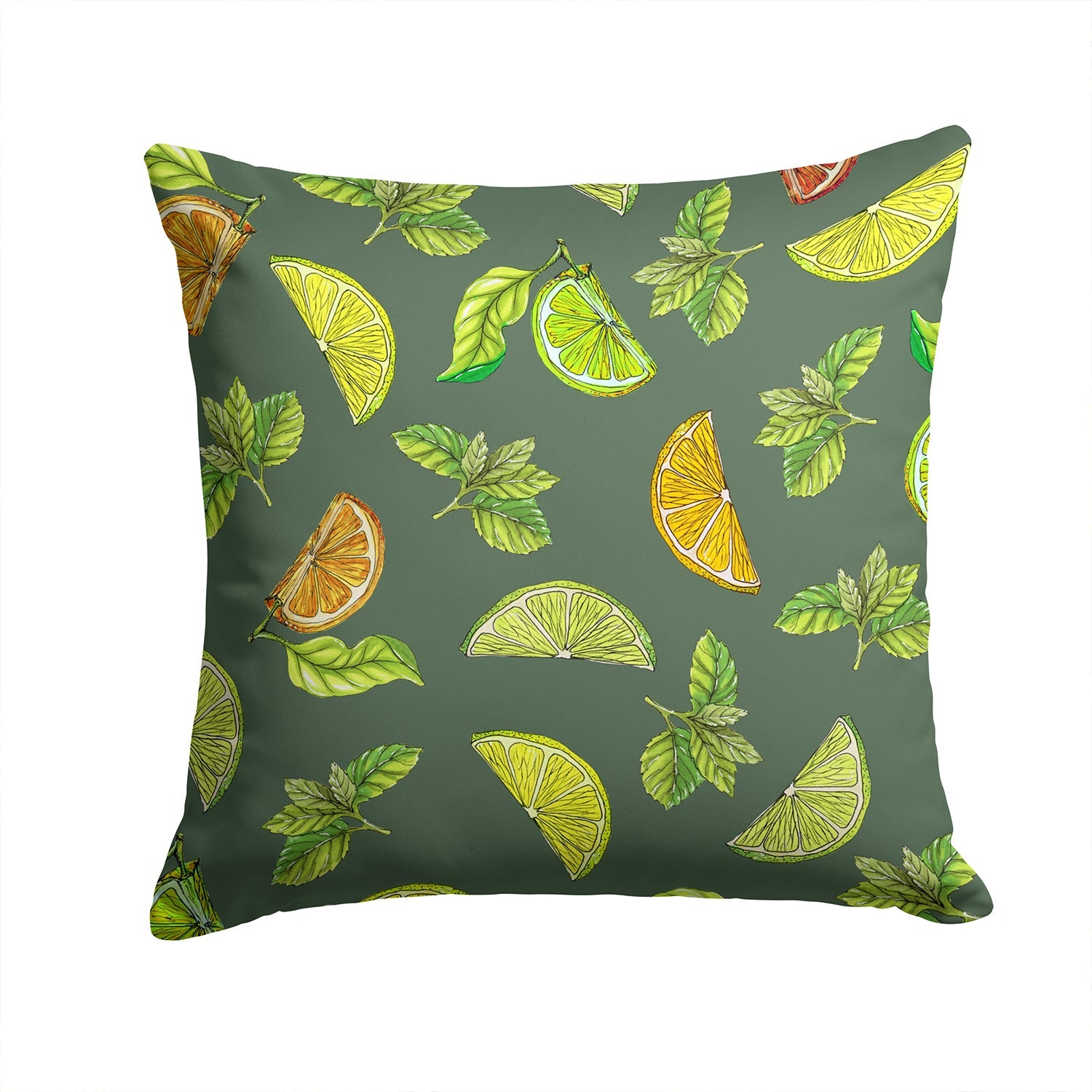 Lemons, Limes and Oranges Decorative Throw Pillow 14x14 Indoor Outdoor Accent Cushion, Fabric Cover with Insert for Sofa, Bed, Porch & Living Room