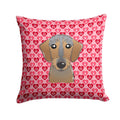 Wirehaired Dachshund Decorative Throw Pillow 14x14 Indoor Outdoor Accent Cushion, Fabric Cover with Insert for Sofa, Bed, Porch & Living Room