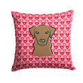 Chocolate Labrador Decorative Throw Pillow 14x14 Indoor Outdoor Accent Cushion, Fabric Cover with Insert for Sofa, Bed, Porch & Living Room