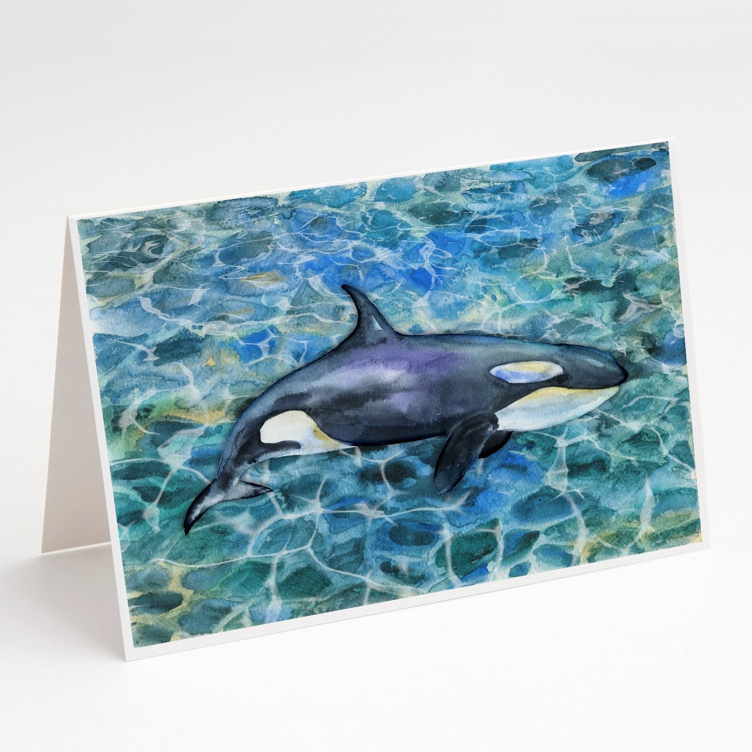 Killer Whale Orca Greeting Cards Pack of 8 Blank Cards with Envelopes Whimsical A7 Size 5x7