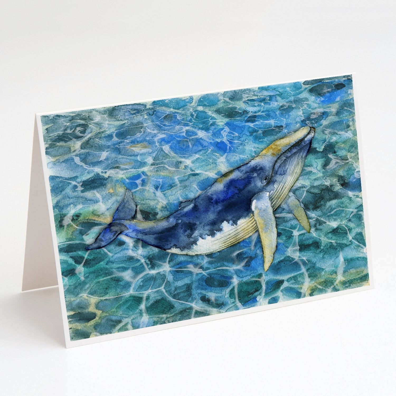 Humpback Whale Greeting Cards Pack of 8 Blank Cards with Envelopes Whimsical A7 Size 5x7