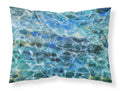 Eel Under water Standard Pillowcase Lightweight Super Soft Easy Care Decorative Artwork Pillowcase, Standard