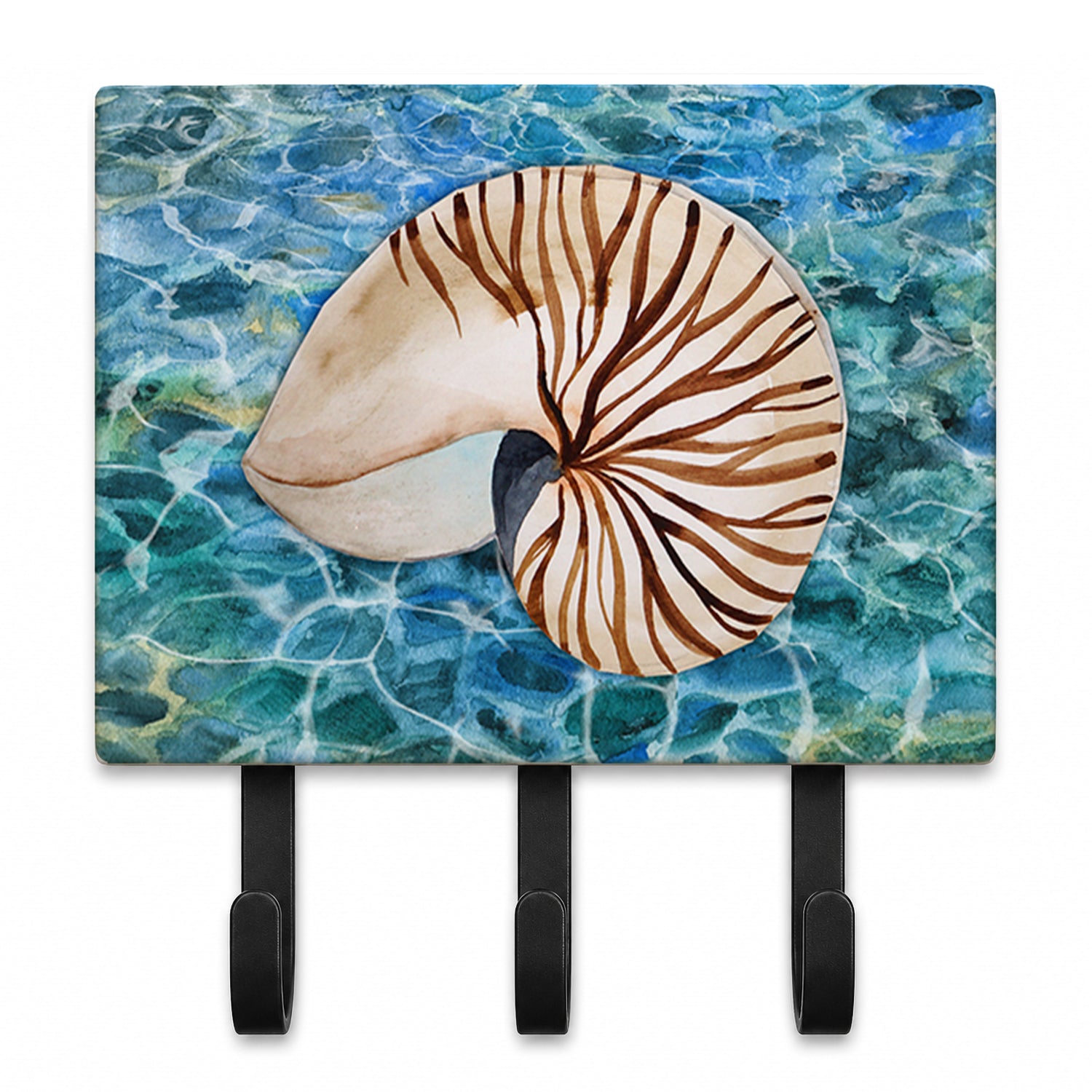 Sea Shell and Water Leash or Key Holder Wall Hooks, Coat Rack Wall Mount, for Hanging Keys, Towels, Aprons, Leashes