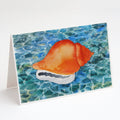 Sea Shell Greeting Cards Pack of 8 Blank Cards with Envelopes Whimsical A7 Size 5x7
