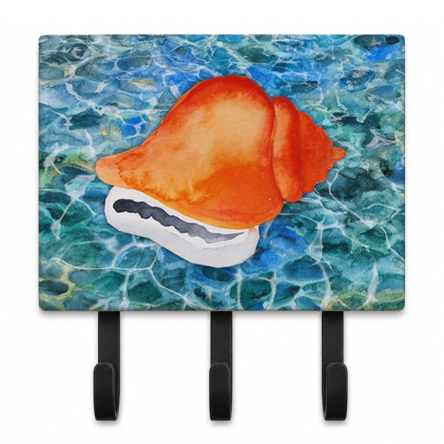 Sea Shell Leash or Key Holder Wall Hooks, Coat Rack Wall Mount, for Hanging Keys, Towels, Aprons, Leashes