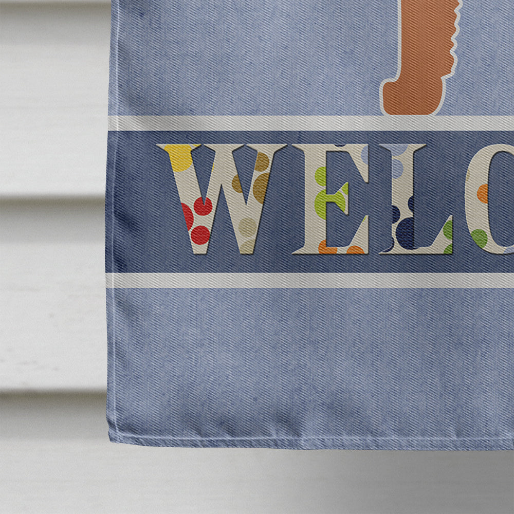 Welsh Terrier Welcome House Flag 28x40 Porch Sleeve Pole Decorative Outside Yard Banner Artwork Wall Hanging, Polyester