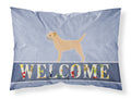 Border Terrier Welcome Standard Pillowcase Lightweight Super Soft Easy Care Decorative Artwork Pillowcase, Standard
