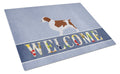Welsh Springer Spaniel Welcome Cutting Board Tempered Glass Kitchen Cutting Surface, Heat Resistant Chopping, Non-Slip Feet, Food Prep & Serving