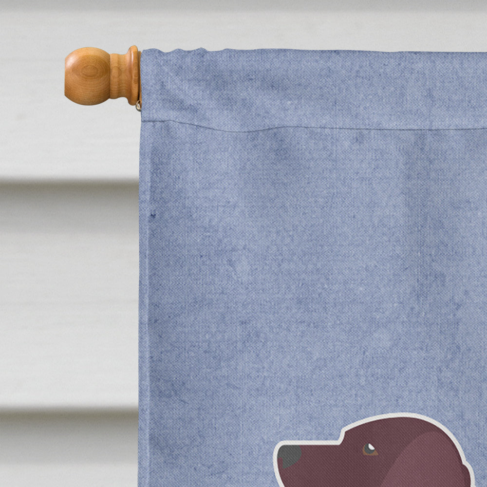 American Water Spaniel Welcome House Flag 28x40 Porch Sleeve Pole Decorative Outside Yard Banner Artwork Wall Hanging, Polyester