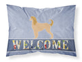 Afghan Hound Welcome Standard Pillowcase Lightweight Super Soft Easy Care Decorative Artwork Pillowcase, Standard