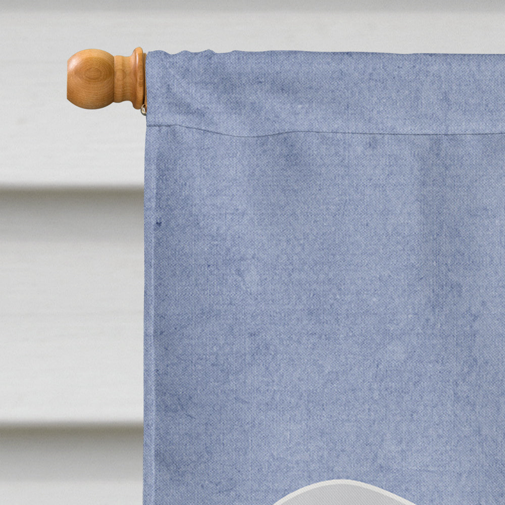 Spanish Water Dog Welcome House Flag 28x40 Porch Sleeve Pole Decorative Outside Yard Banner Artwork Wall Hanging, Polyester