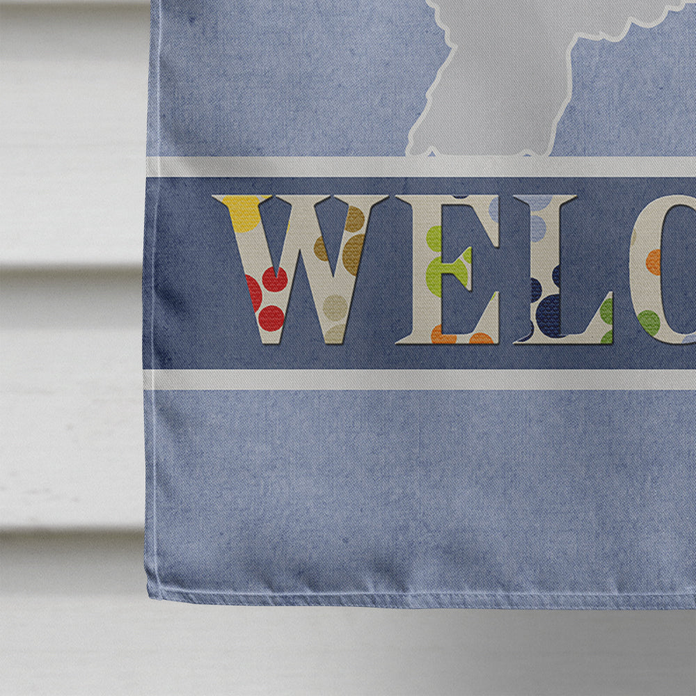 Spanish Water Dog Welcome House Flag 28x40 Porch Sleeve Pole Decorative Outside Yard Banner Artwork Wall Hanging, Polyester