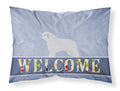 Spanish Water Dog Welcome Standard Pillowcase Lightweight Super Soft Easy Care Decorative Artwork Pillowcase, Standard