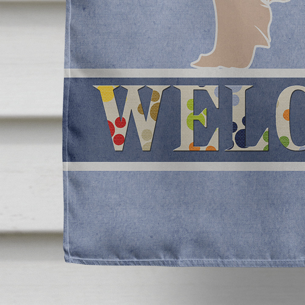 Pyrenean Shepherd Welcome House Flag 28x40 Porch Sleeve Pole Decorative Outside Yard Banner Artwork Wall Hanging, Polyester