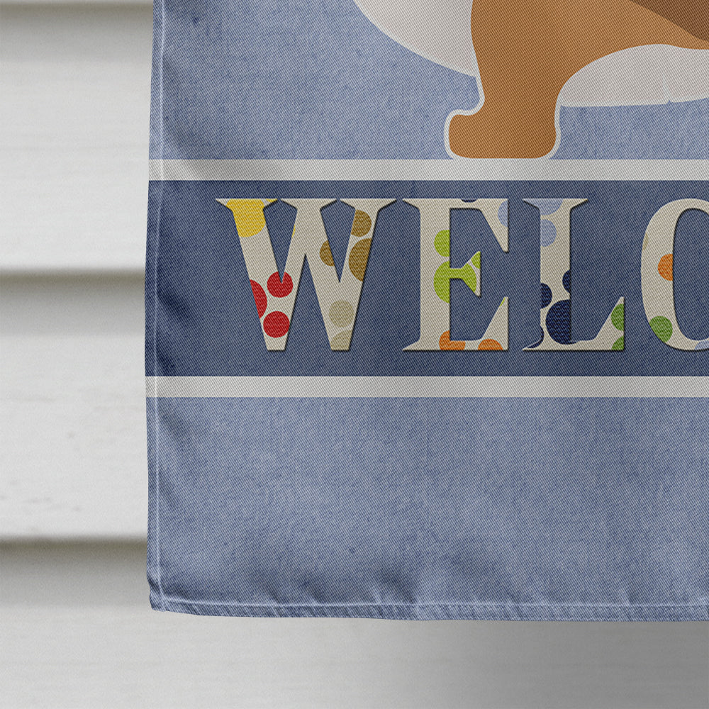 Corgi Welcome House Flag 28x40 Porch Sleeve Pole Decorative Outside Yard Banner Artwork Wall Hanging, Polyester