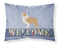 Red Border Collie Welcome Standard Pillowcase Lightweight Super Soft Easy Care Decorative Artwork Pillowcase, Standard