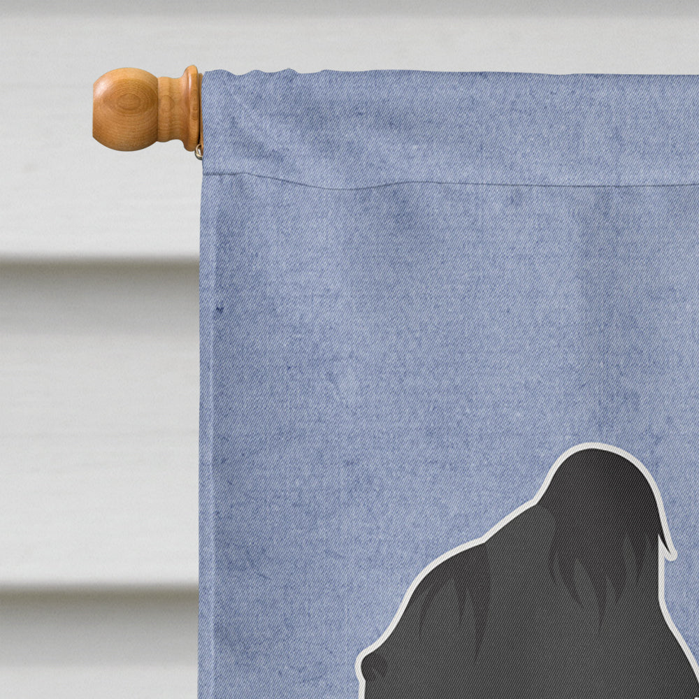 Briard Welcome House Flag 28x40 Porch Sleeve Pole Decorative Outside Yard Banner Artwork Wall Hanging, Polyester