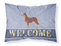 Australian Kelpie Dog Welcome Standard Pillowcase Lightweight Super Soft Easy Care Decorative Artwork Pillowcase, Standard