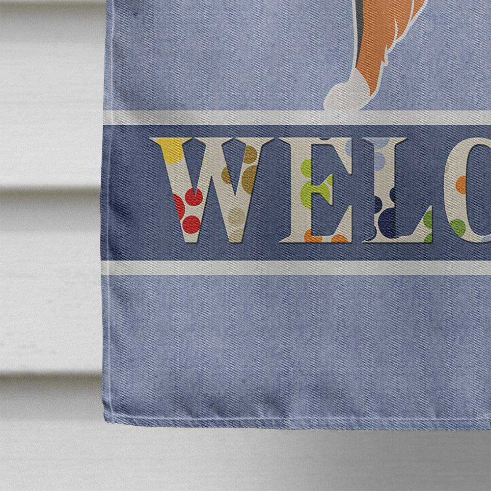 Sheltie/Shetland Sheepdog Welcome House Flag 28x40 Porch Sleeve Pole Decorative Outside Yard Banner Artwork Wall Hanging, Polyester