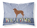 Portuguese Sheepdog Dog Welcome Standard Pillowcase Lightweight Super Soft Easy Care Decorative Artwork Pillowcase, Standard