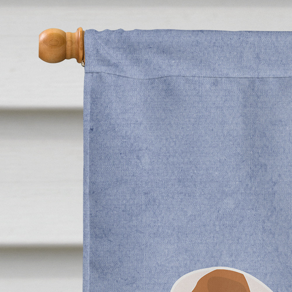 Australian Shepherd Dog Welcome House Flag 28x40 Porch Sleeve Pole Decorative Outside Yard Banner Artwork Wall Hanging, Polyester