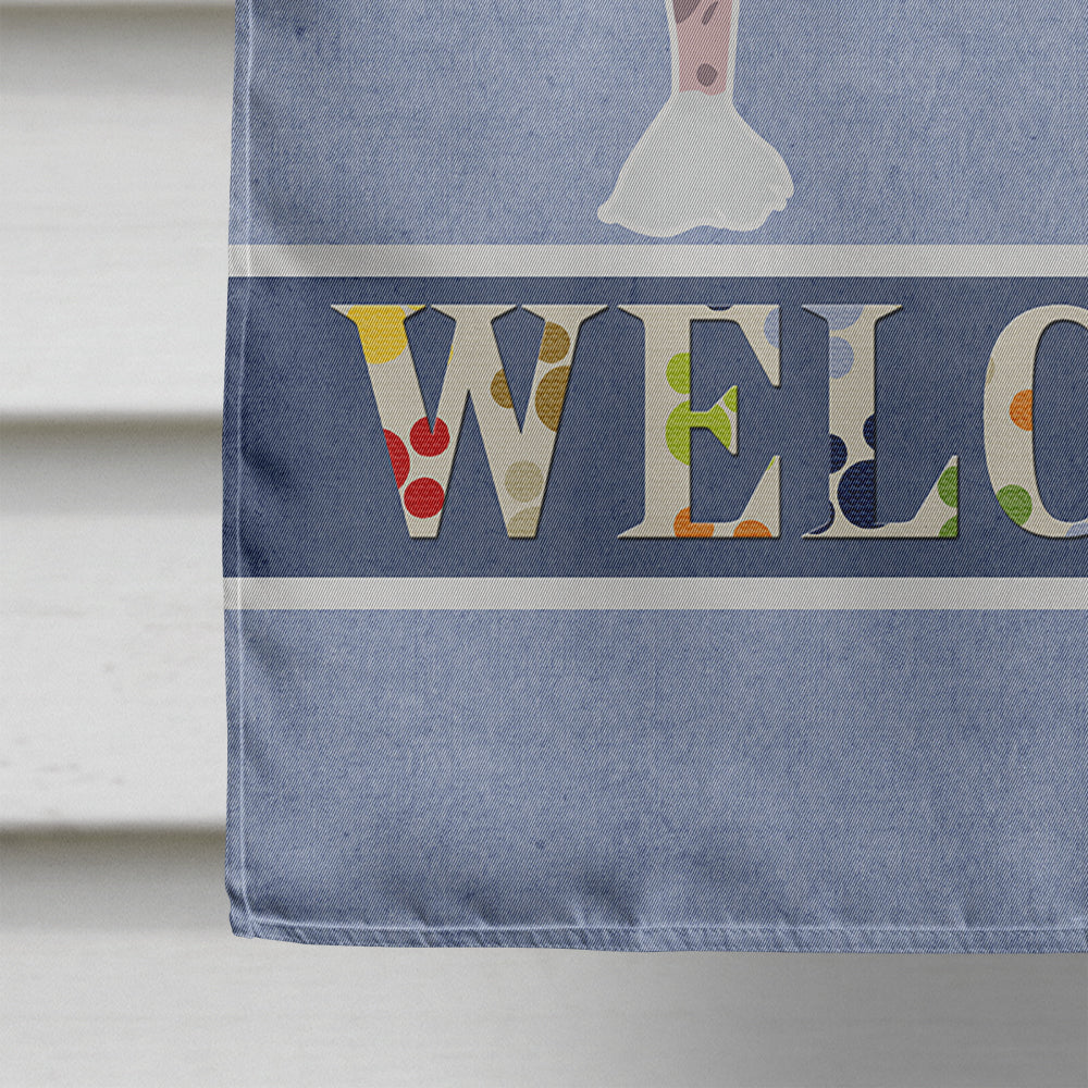 Chinese Crested Welcome House Flag 28x40 Porch Sleeve Pole Decorative Outside Yard Banner Artwork Wall Hanging, Polyester