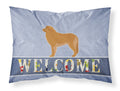 Leonberger Welcome Standard Pillowcase Lightweight Super Soft Easy Care Decorative Artwork Pillowcase, Standard