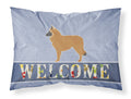 Belgian Shepherd Welcome Standard Pillowcase Lightweight Super Soft Easy Care Decorative Artwork Pillowcase, Standard