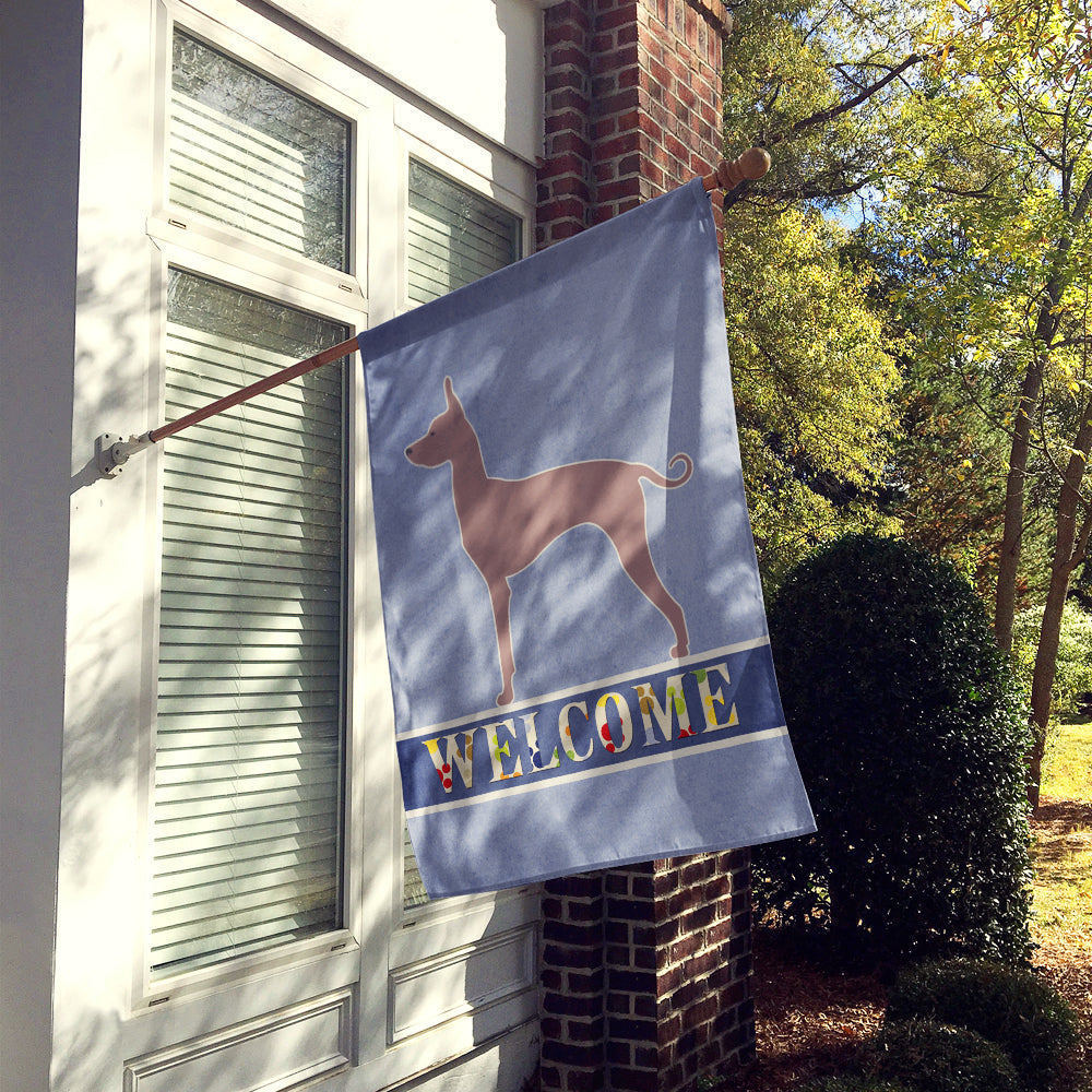 Dogo Argentino Welcome House Flag 28x40 Porch Sleeve Pole Decorative Outside Yard Banner Artwork Wall Hanging, Polyester