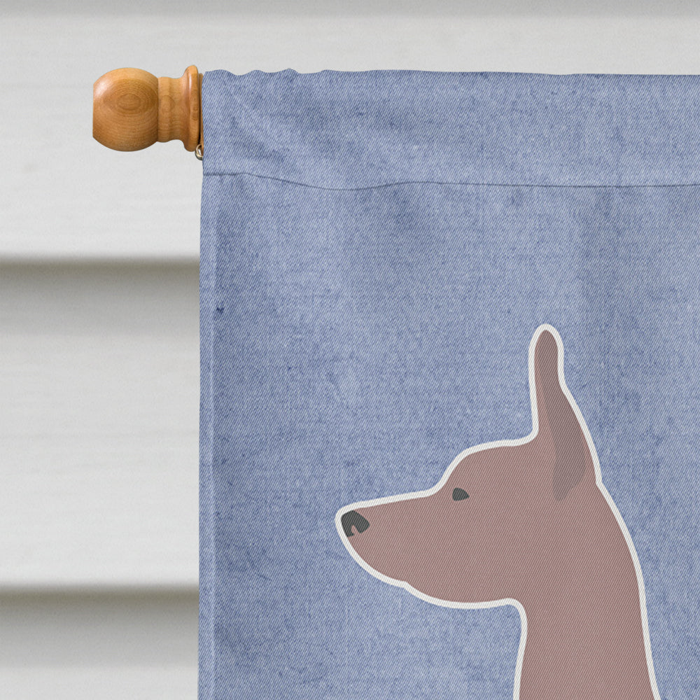 Dogo Argentino Welcome House Flag 28x40 Porch Sleeve Pole Decorative Outside Yard Banner Artwork Wall Hanging, Polyester