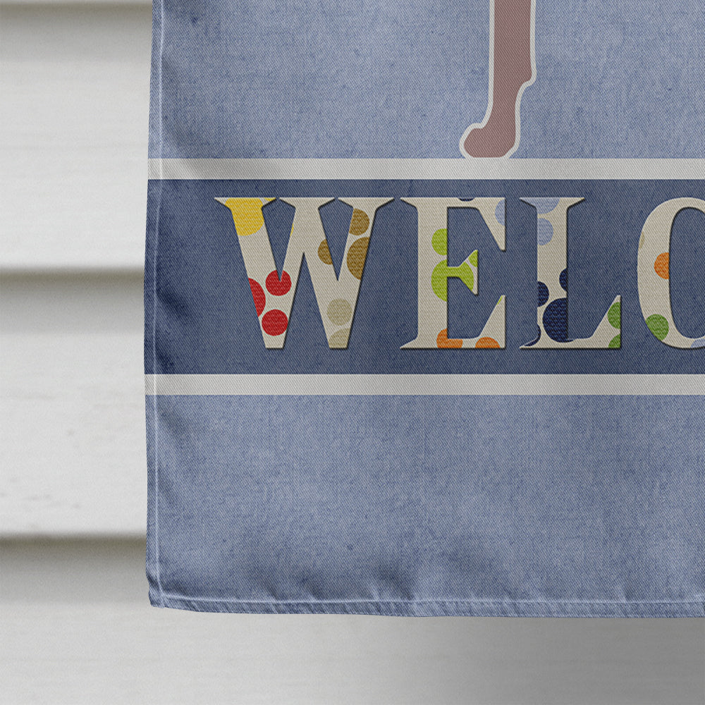 Dogo Argentino Welcome House Flag 28x40 Porch Sleeve Pole Decorative Outside Yard Banner Artwork Wall Hanging, Polyester
