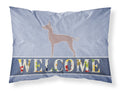 Dogo Argentino Welcome Standard Pillowcase Lightweight Super Soft Easy Care Decorative Artwork Pillowcase, Standard