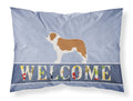 Saint Bernard Welcome Standard Pillowcase Lightweight Super Soft Easy Care Decorative Artwork Pillowcase, Standard