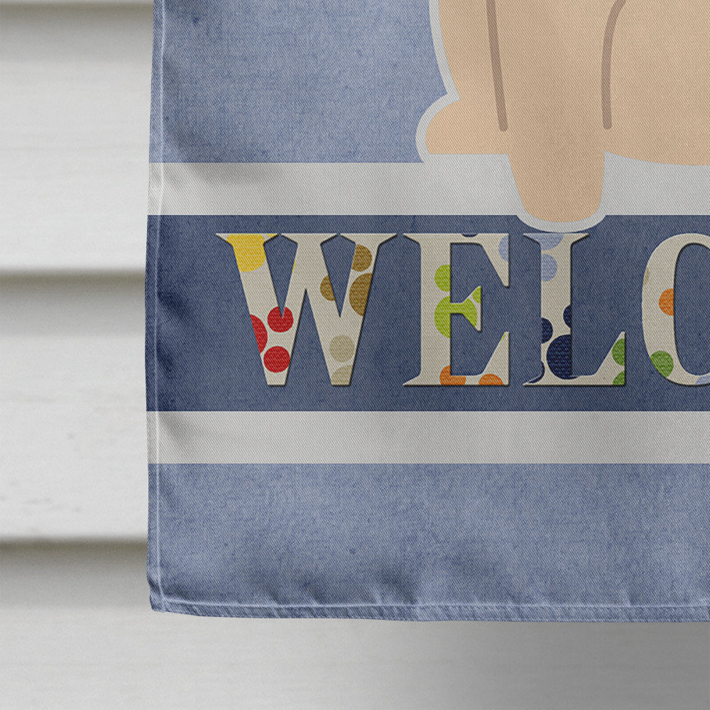 Pug Fawn Welcome House Flag 28x40 Porch Sleeve Pole Decorative Outside Yard Banner Artwork Wall Hanging, Polyester