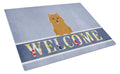 Norwich Terrier Welcome Cutting Board Tempered Glass Kitchen Cutting Surface, Heat Resistant Chopping, Non-Slip Feet, Food Prep & Serving