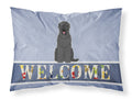 Black Russian Terrier Welcome Standard Pillowcase Lightweight Super Soft Easy Care Decorative Artwork Pillowcase, Standard