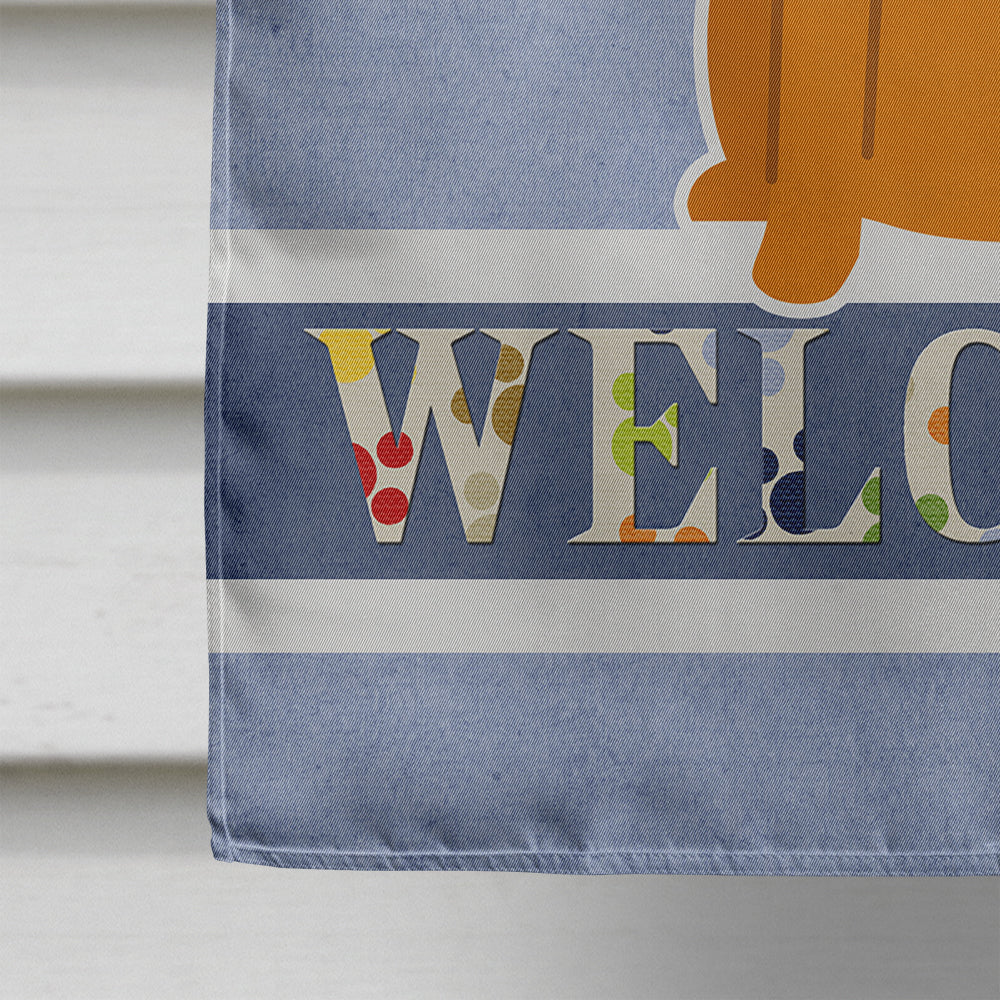 Border Terrier Welcome House Flag 28x40 Porch Sleeve Pole Decorative Outside Yard Banner Artwork Wall Hanging, Polyester