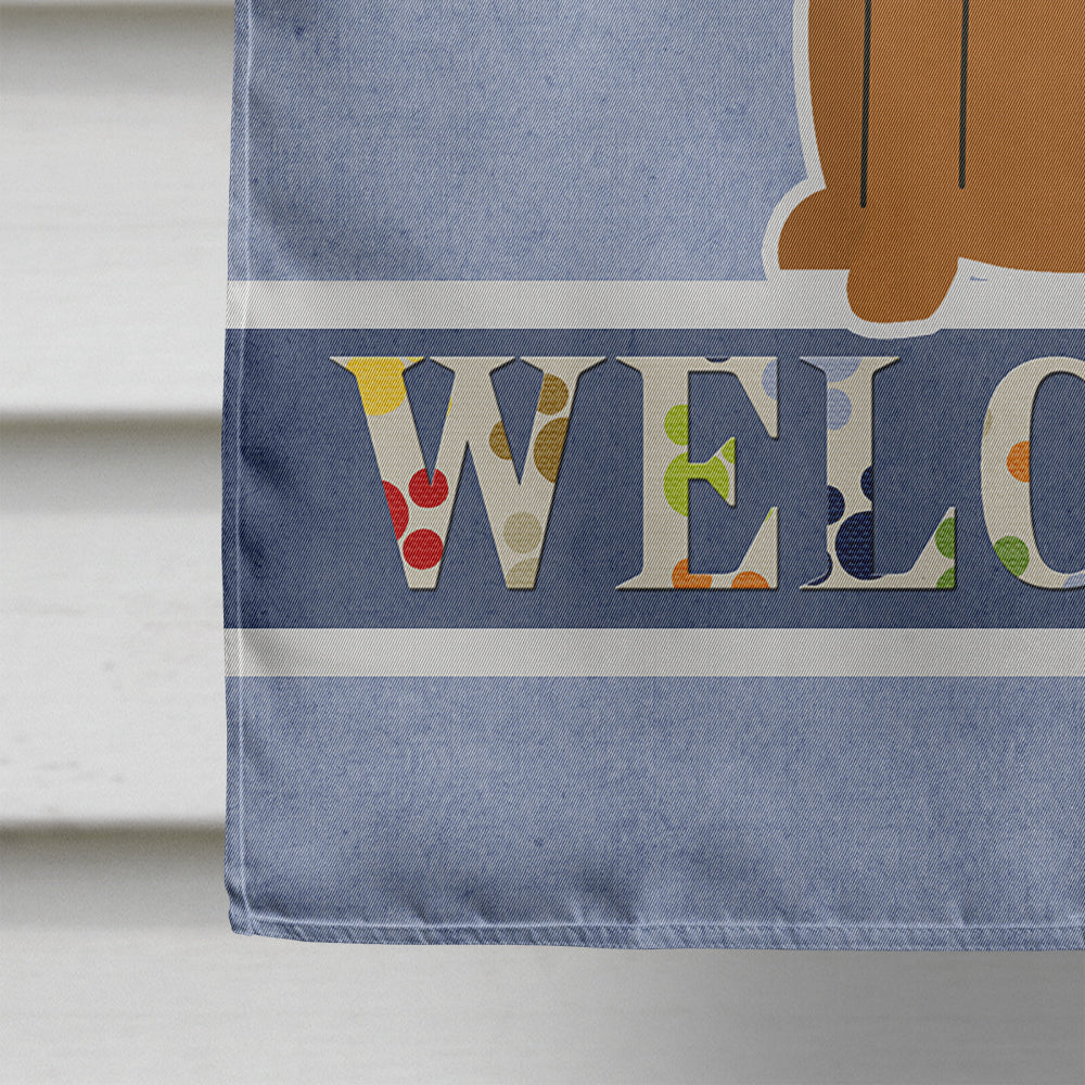 Irish Terrier Welcome House Flag 28x40 Porch Sleeve Pole Decorative Outside Yard Banner Artwork Wall Hanging, Polyester