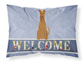 Irish Terrier Welcome Standard Pillowcase Lightweight Super Soft Easy Care Decorative Artwork Pillowcase, Standard