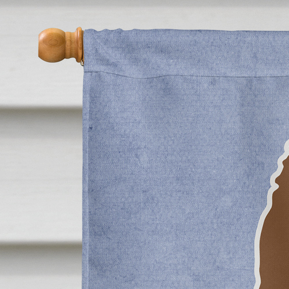 Irish Water Spaniel Welcome House Flag 28x40 Porch Sleeve Pole Decorative Outside Yard Banner Artwork Wall Hanging, Polyester